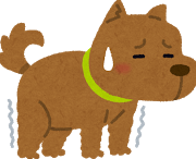 足首が硬いとなぜ危険なのか