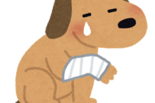 打撲 処置